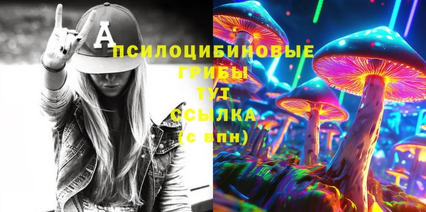 mdpv Осинники